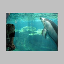 15 na szczescie tylko chwilowo.html